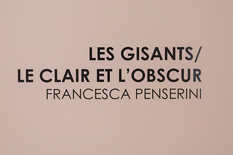 Les Gisants, Le Clair et l'Obscur - CERN