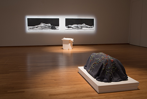 Les Gisants, Le Clair et l'Obscur - CERN