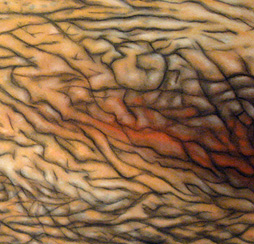 Triptyques et Dessins de Surfaces