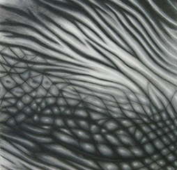 Triptyques et Dessins de Surfaces